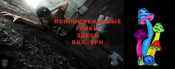 шишки Абдулино