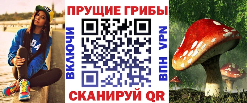 купить закладку  Кизилюрт  Галлюциногенные грибы Psilocybe 