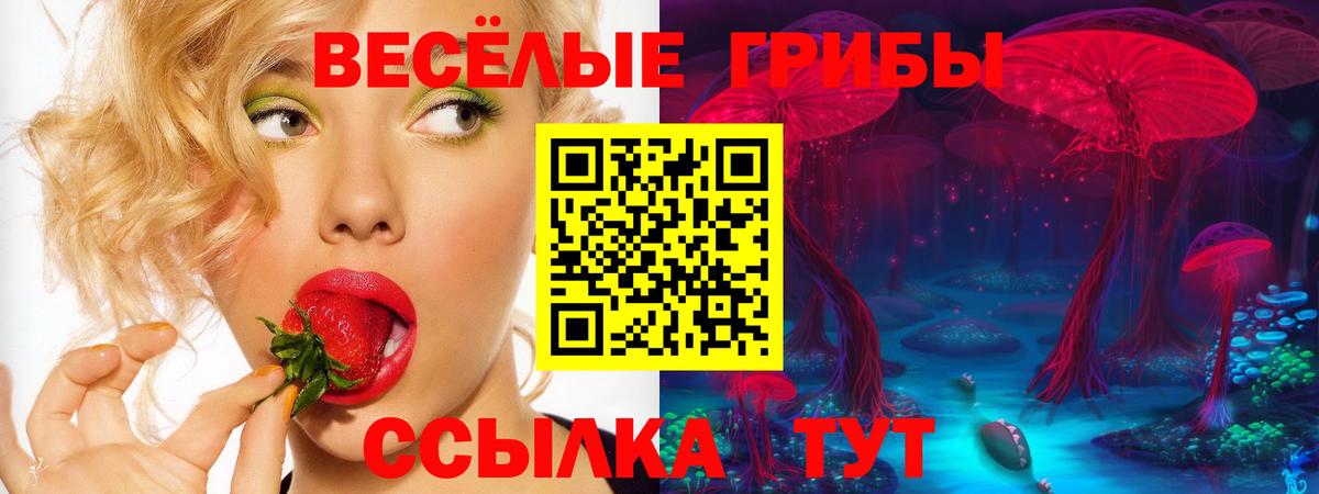 Галлюциногенные грибы мицелий Кизилюрт